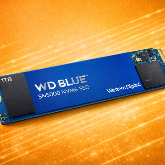 HDD western digital WDSN5000 1TB M2 BLUE