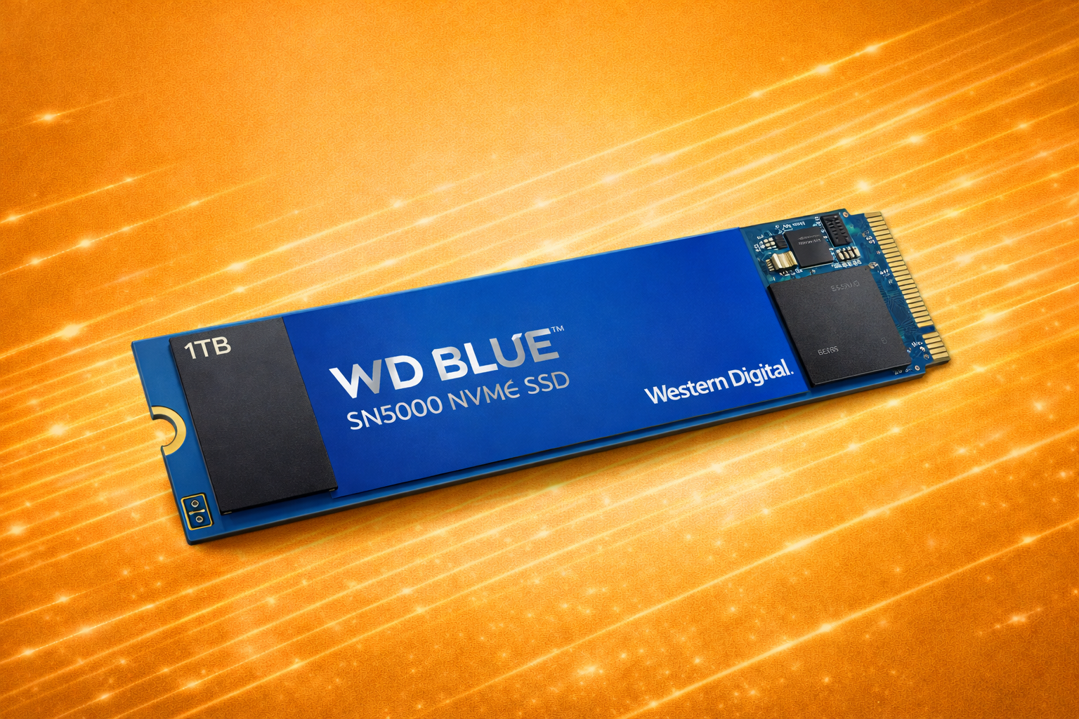 HDD western digital WDSN5000 1TB M2 BLUE